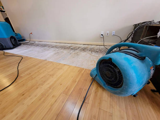 Professional Structural Drying technician working in Rochdale, MA